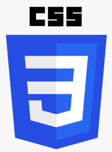 CSS Training in toronto