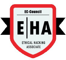 Ethical Hacking Training in brampton