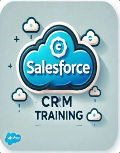 SalesForce Training in halifax